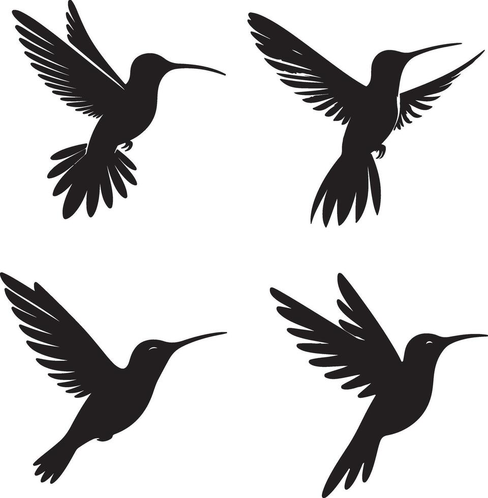 Humming bird silhouette Collection illustration vector
