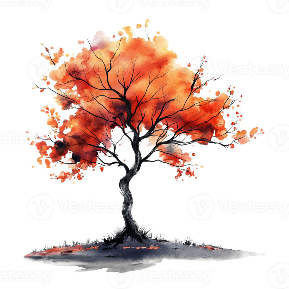 Autumn tree in watercolor style isolated on transparent background. png