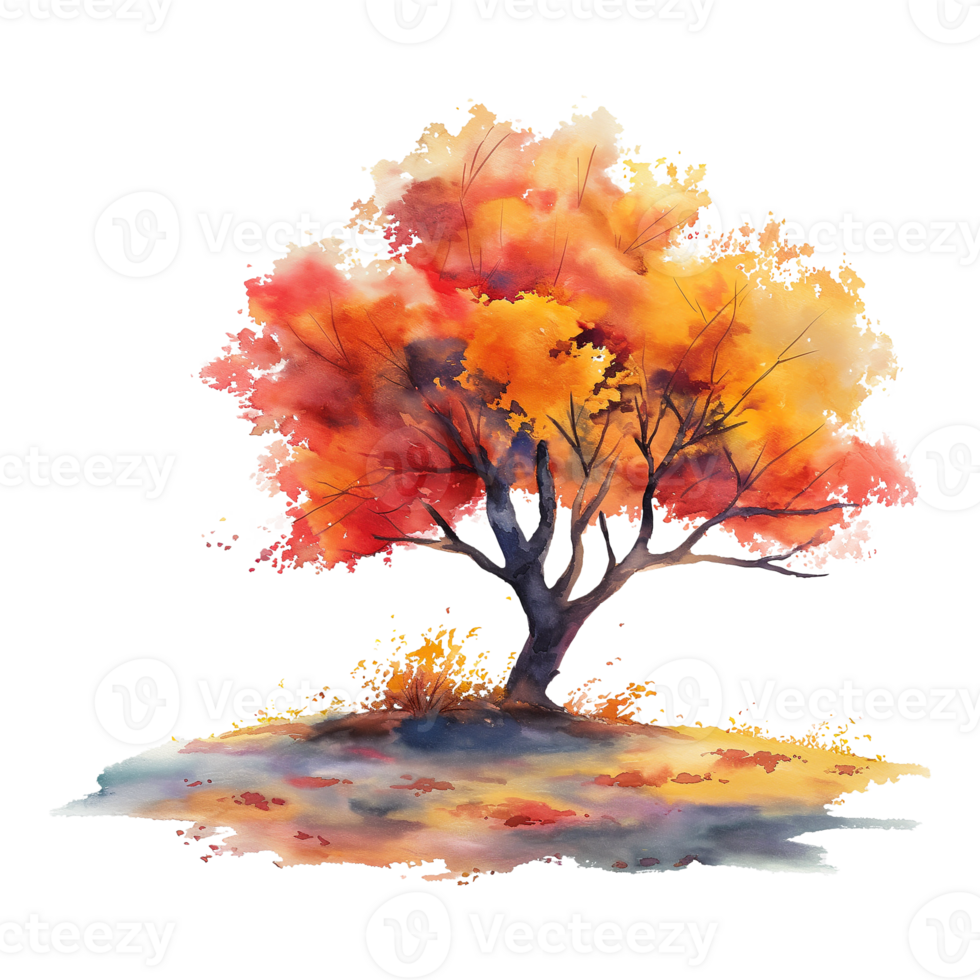 Autumn tree in watercolor style isolated on transparent background. png