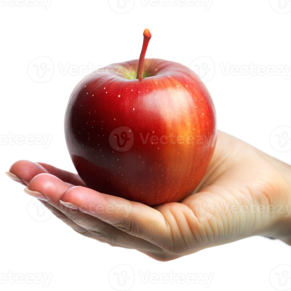 Hand Holding Fresh Red Apple Against Transparent Background png