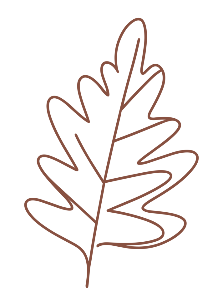 Autumn fall season leaf minimalist brown line art drawing earthy tones boho minimal aesthetic oak leaves vibes illustration isolated decor element transparent background png