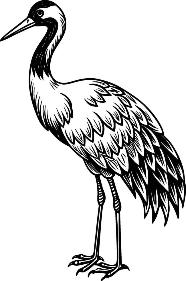 heron illustration on white background vector
