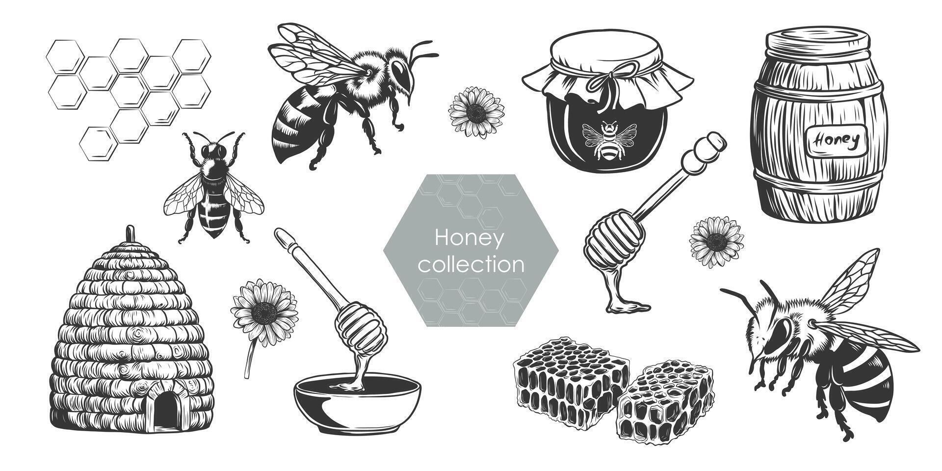 Honey set. Vintage Beekeeping illustrations in sketch style. Hand drawn engraving imitation of beehive, honeycomb, bee, spoon, jar, barrel. vector