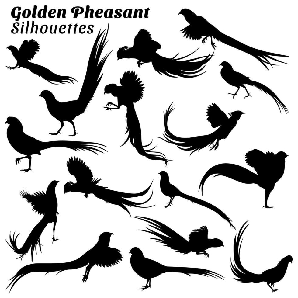 Collection golden pheasant silhouettes illustration. vector
