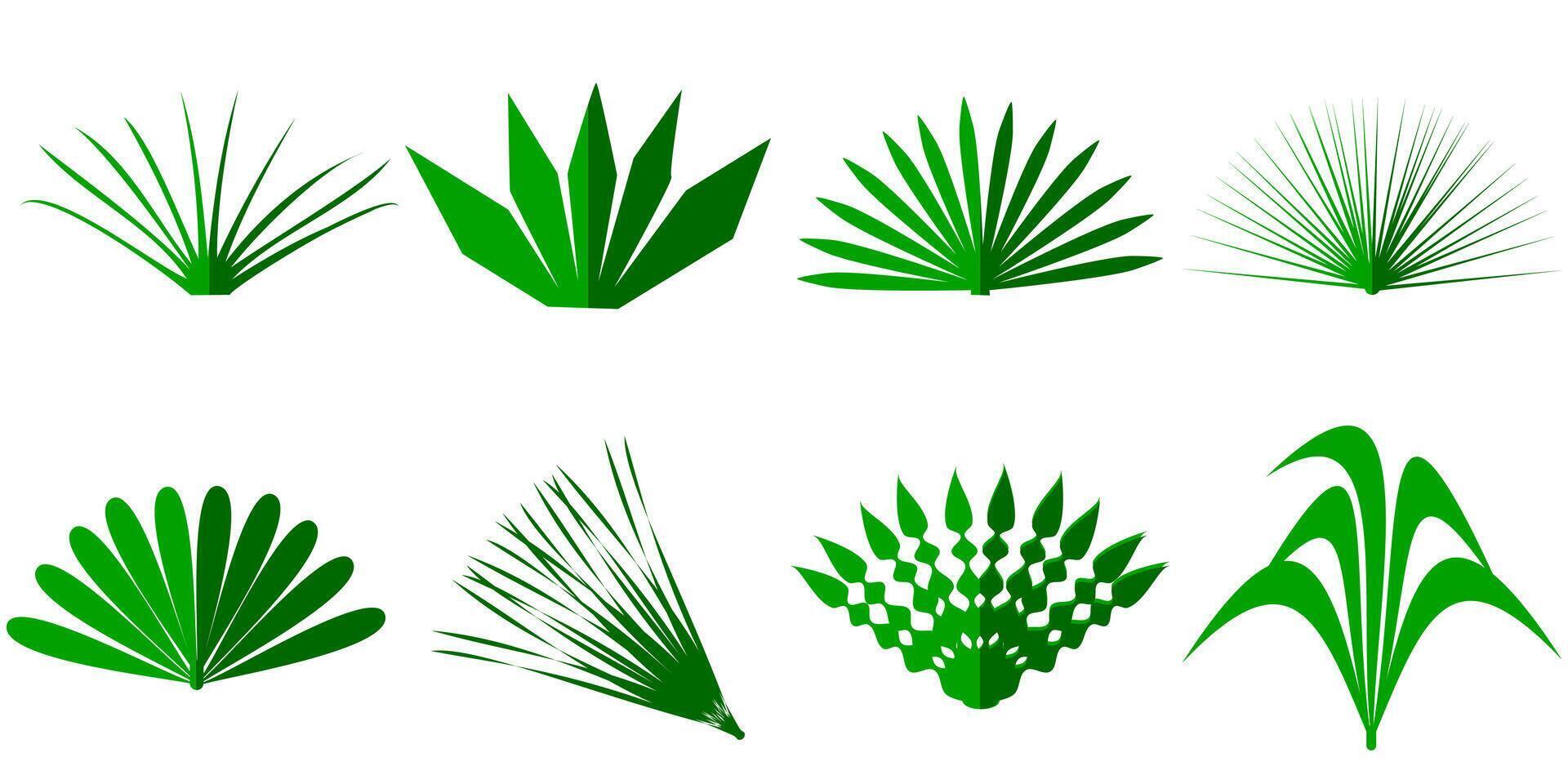 collection of grass leaf icons vector