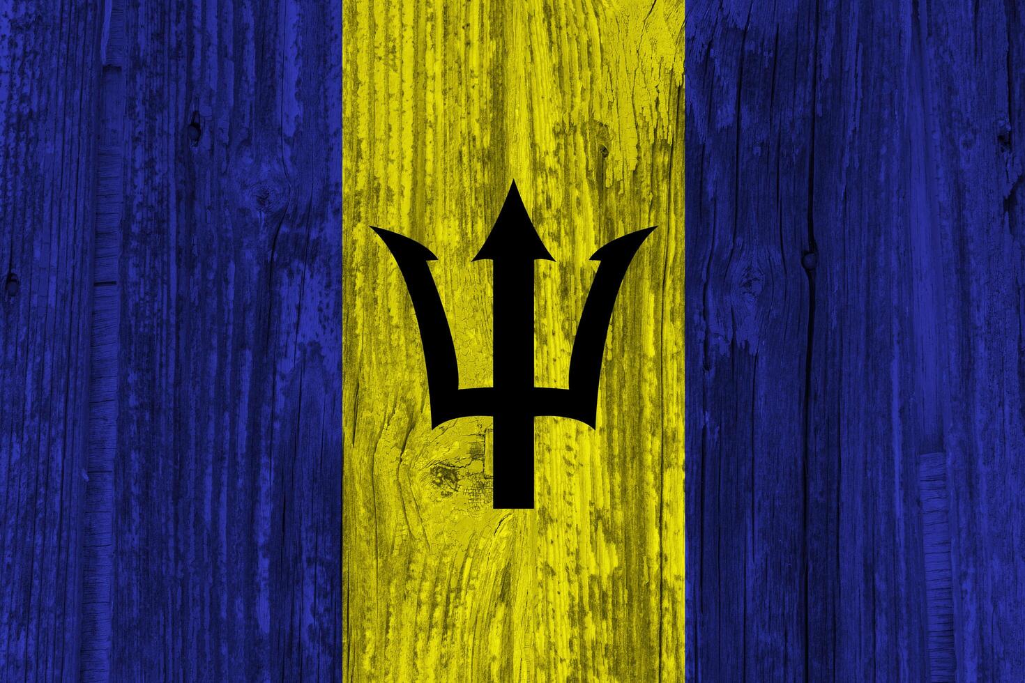 Barbados flag with texture photo