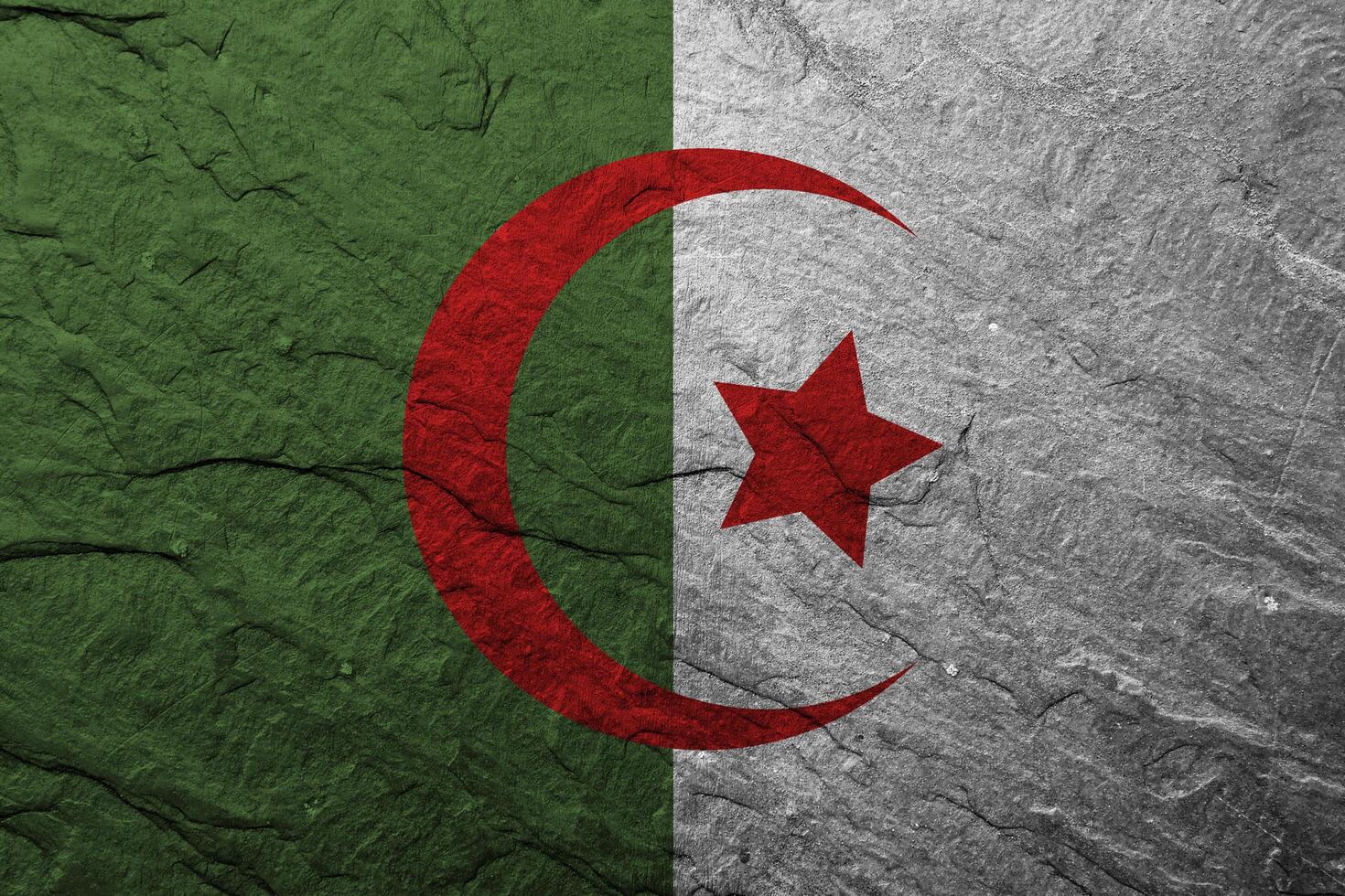 Algeria flag with texture photo