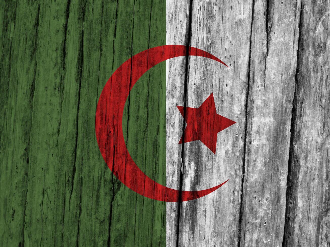 Algeria flag with texture photo