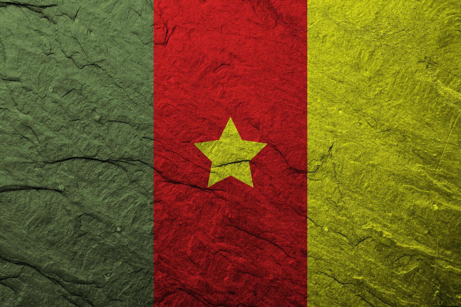 Cameroon flag with texture photo