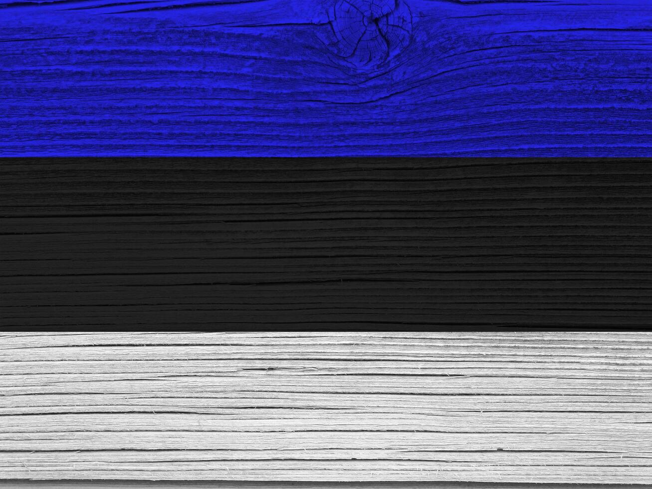 Estonia flag with texture photo