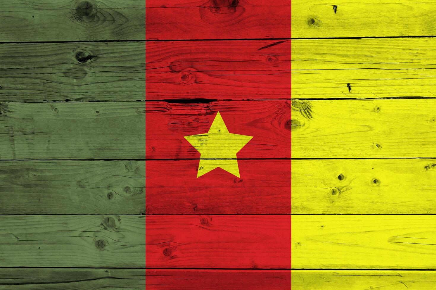 Cameroon flag with texture photo