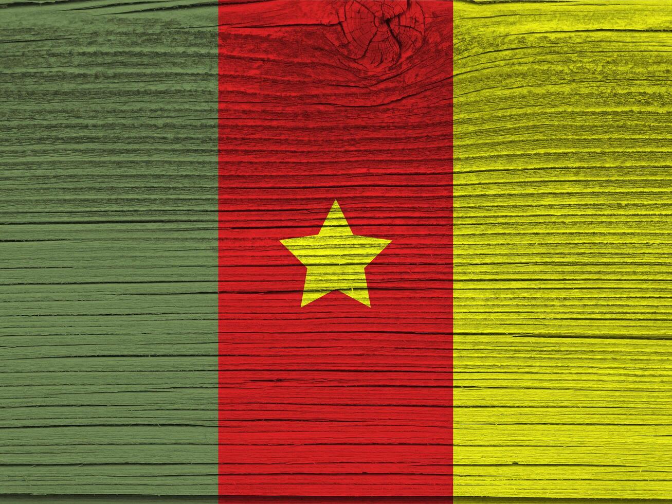 Cameroon flag with texture photo