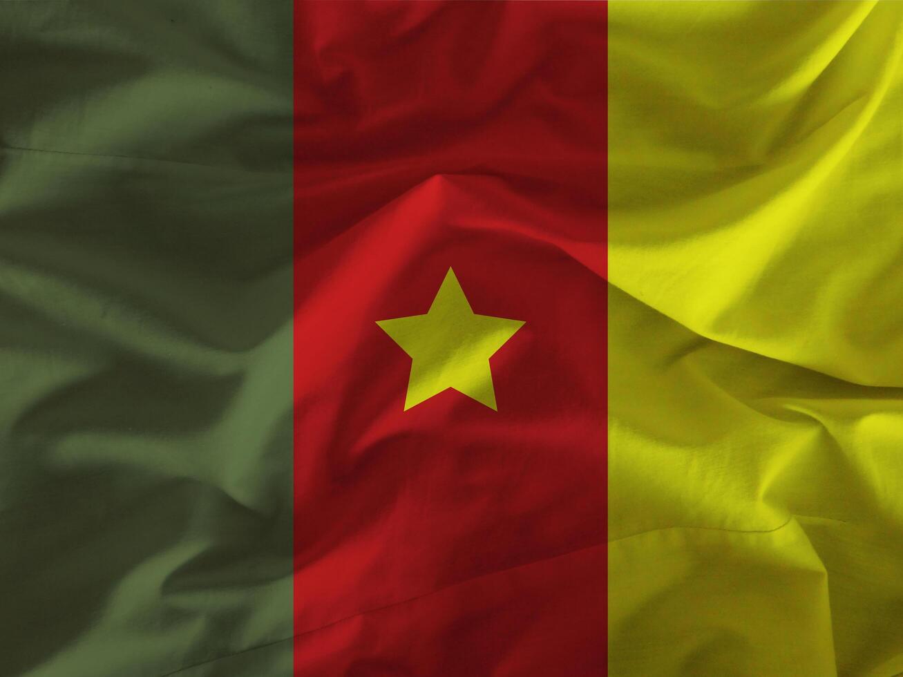 Cameroon flag with texture photo