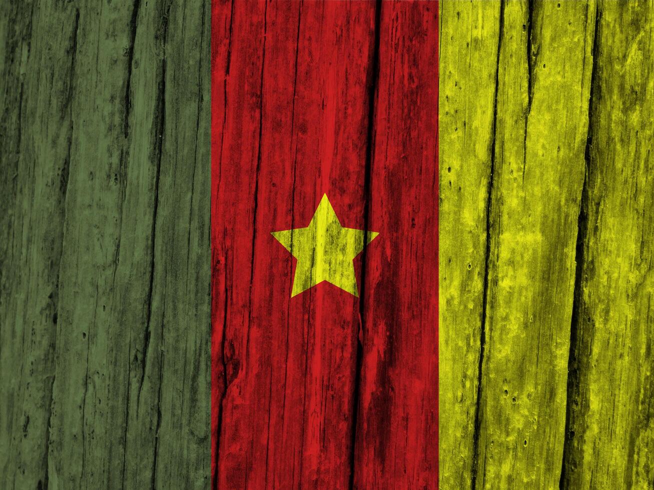 Cameroon flag with texture photo
