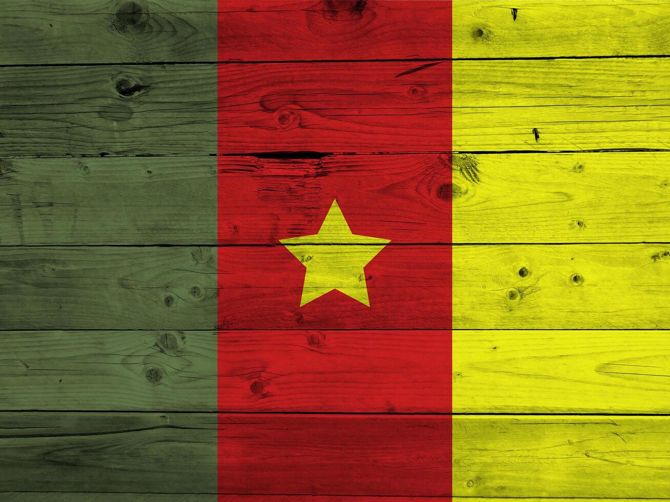 Cameroon flag with texture photo