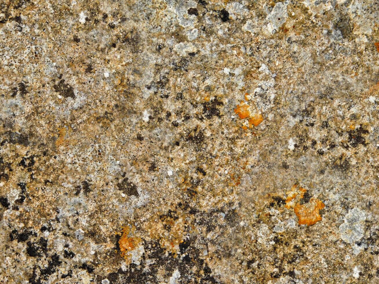 Stone texture of various colors photo