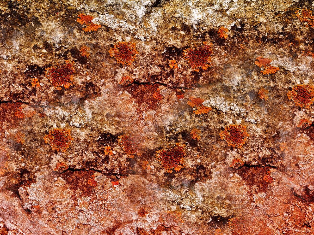 Stone texture of various colors photo