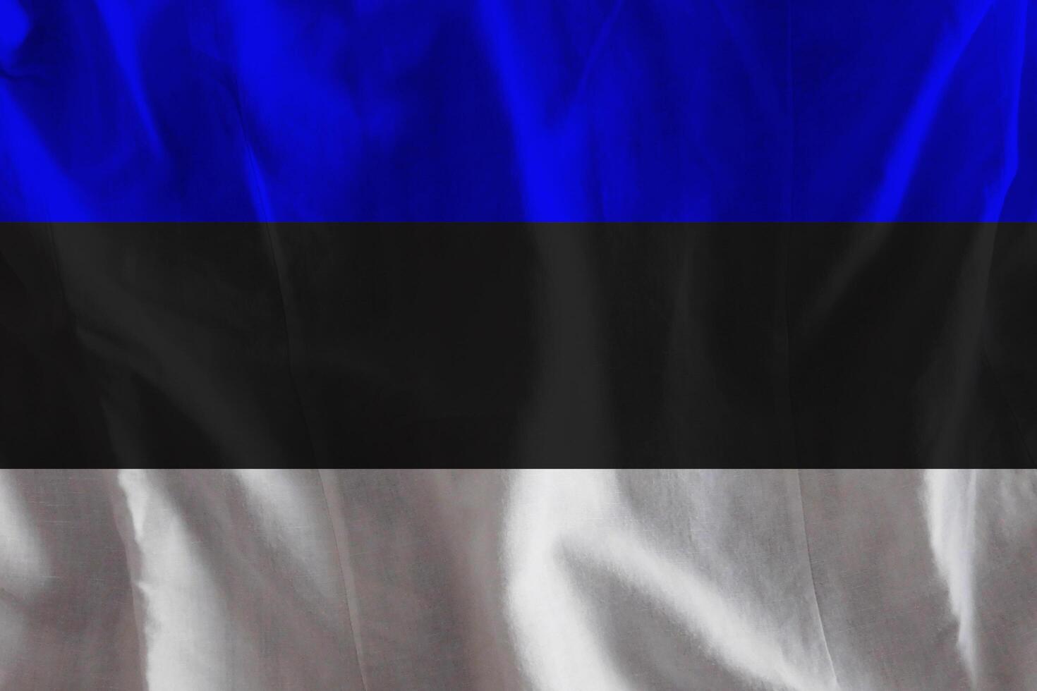 Estonia flag with texture photo