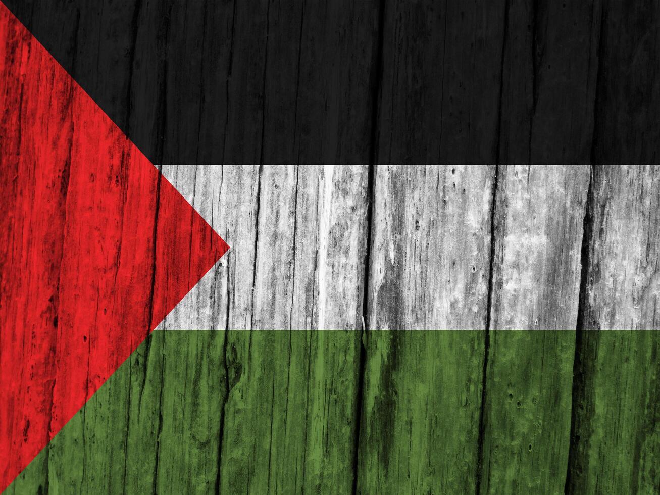 Palestine flag with texture photo