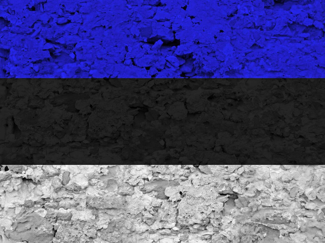 Estonia flag with texture photo