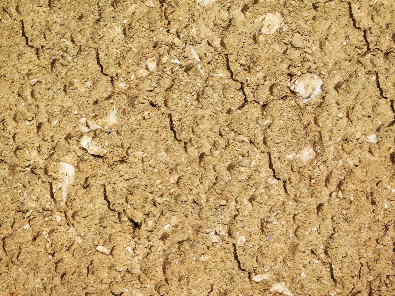 Arid land texture photo