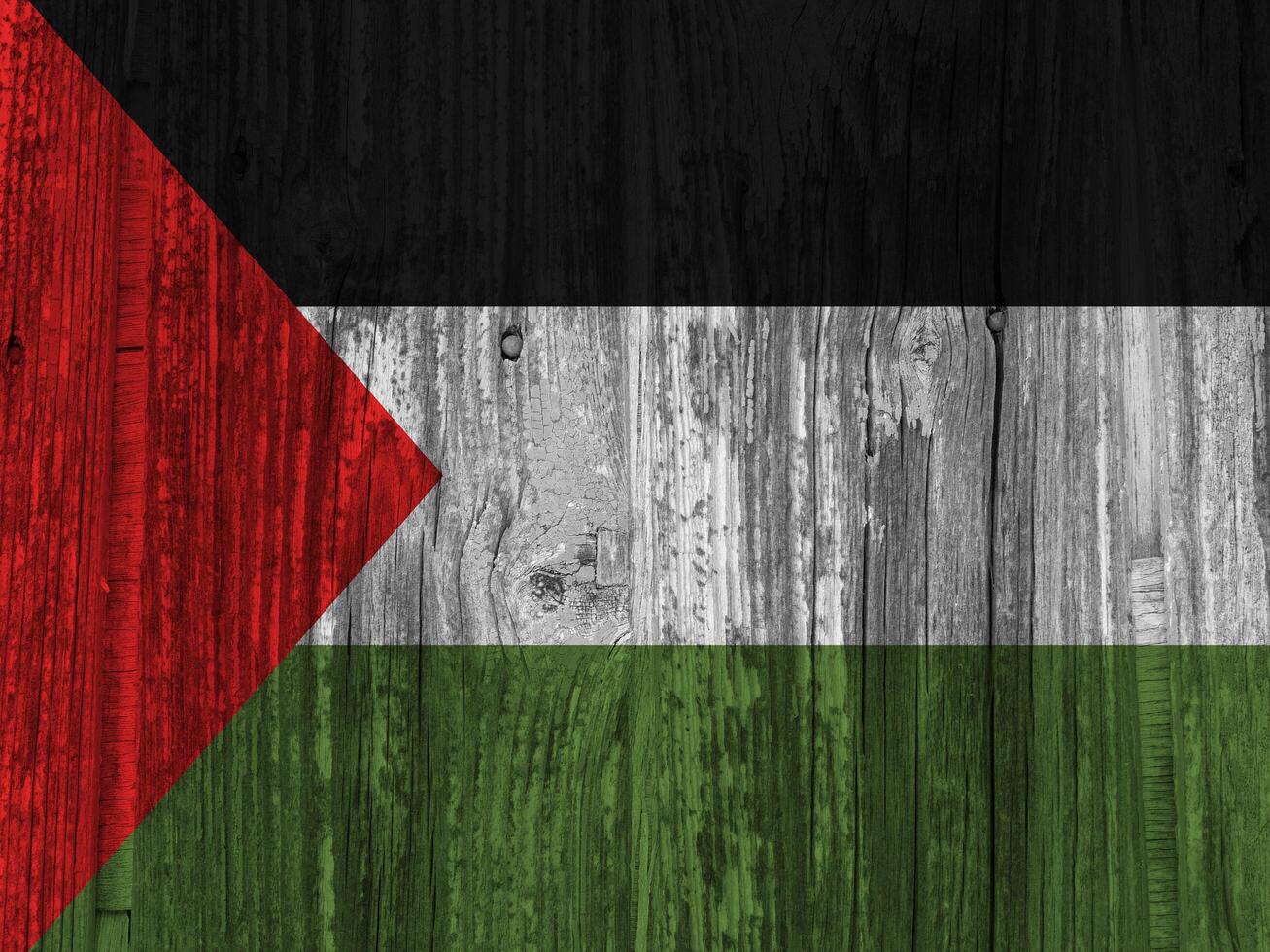 Palestine flag with texture photo