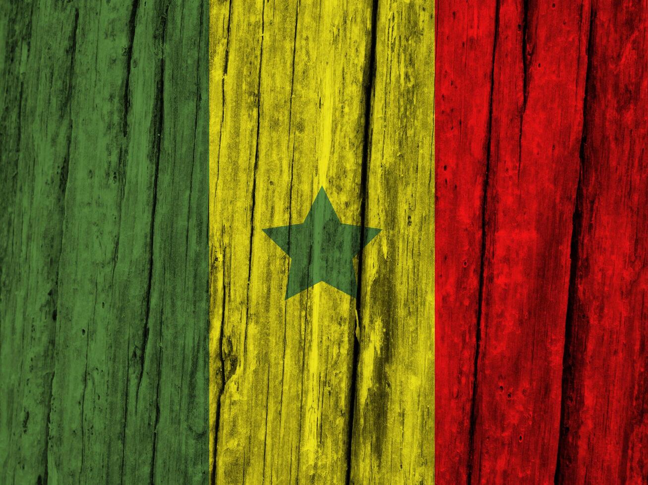 Senegal flag with texture photo