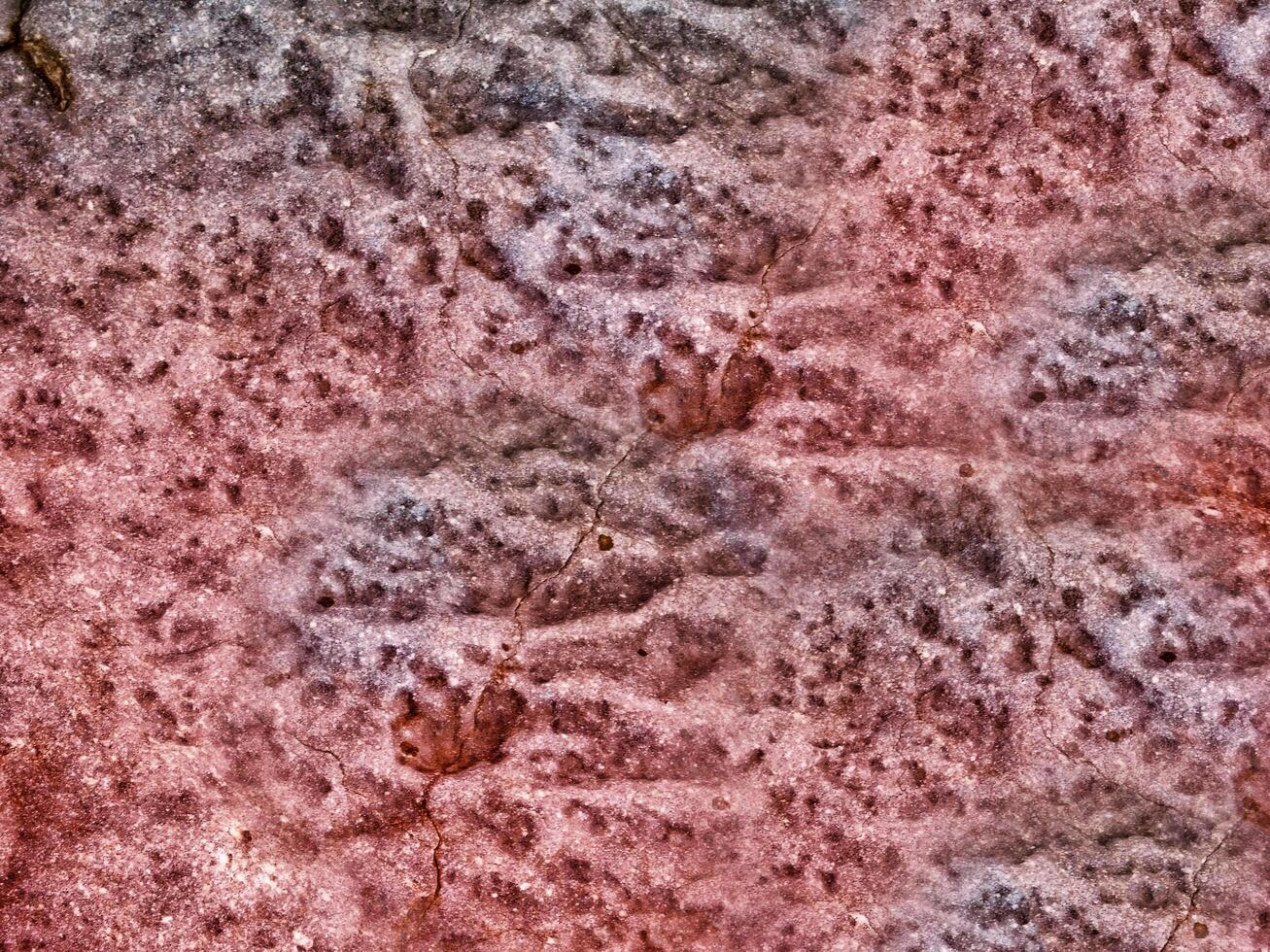 Stone texture of various colors photo