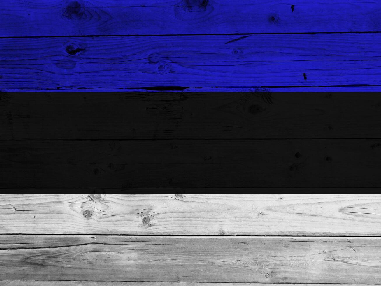 Estonia flag with texture photo