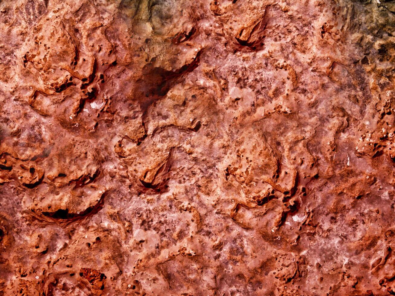 Stone texture of various colors photo