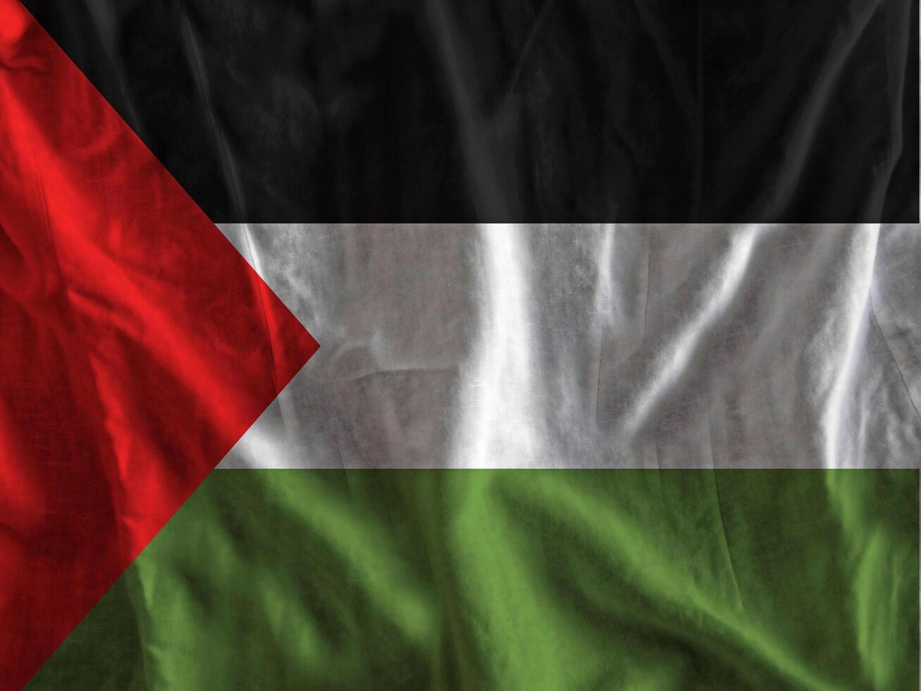 Palestine flag with texture photo