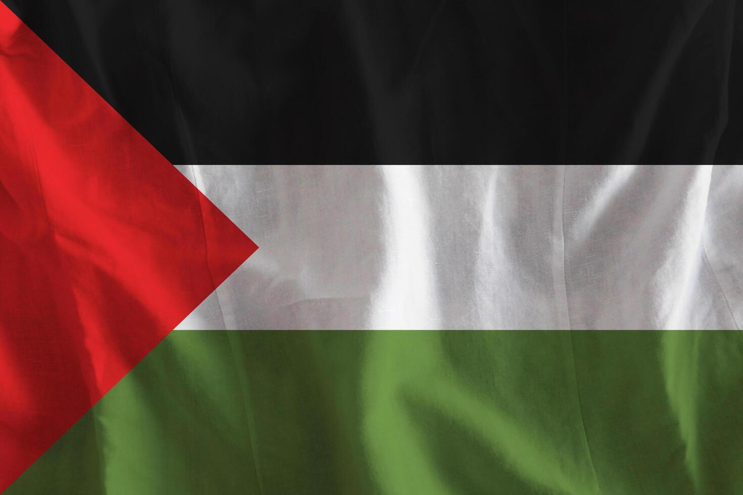 Palestine flag with texture photo