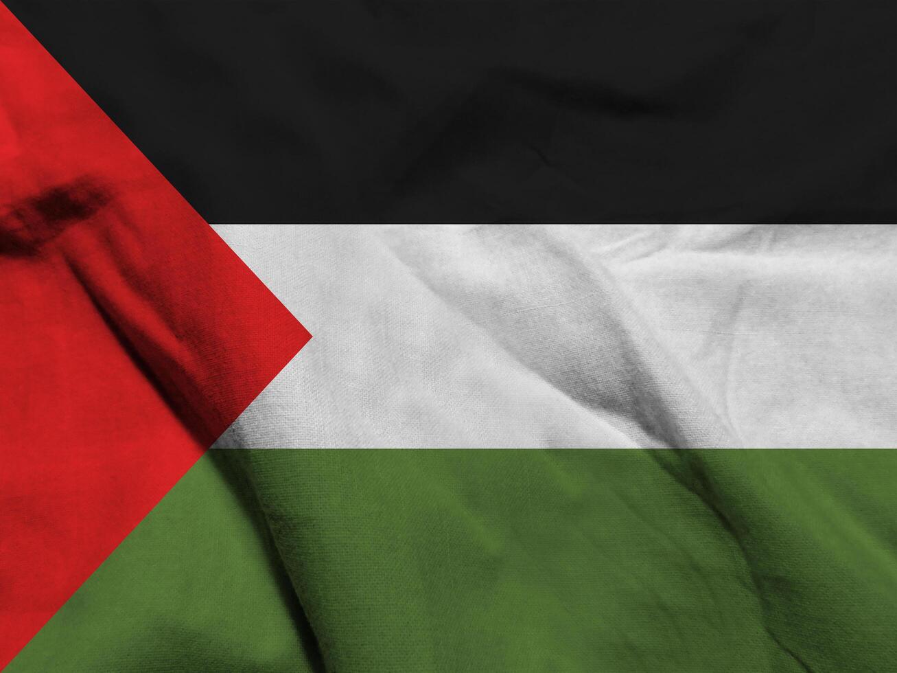 Palestine flag with texture photo