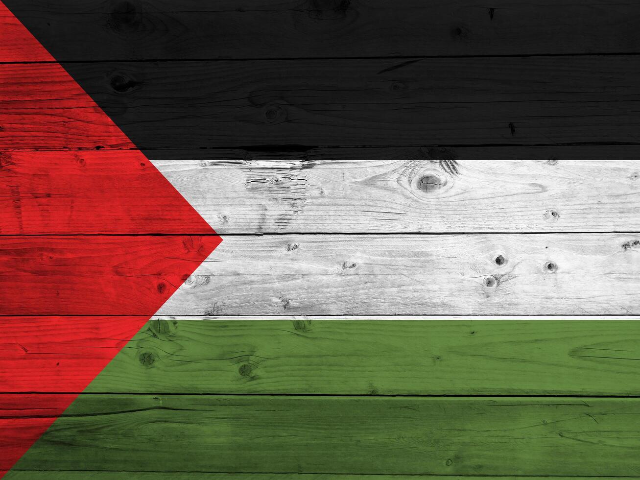 Palestine flag with texture photo