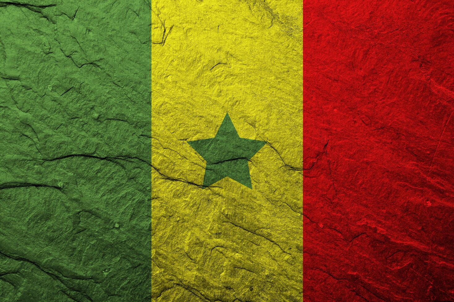 Senegal flag with texture photo
