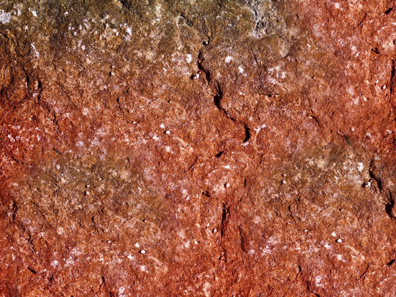Stone texture of various colors photo