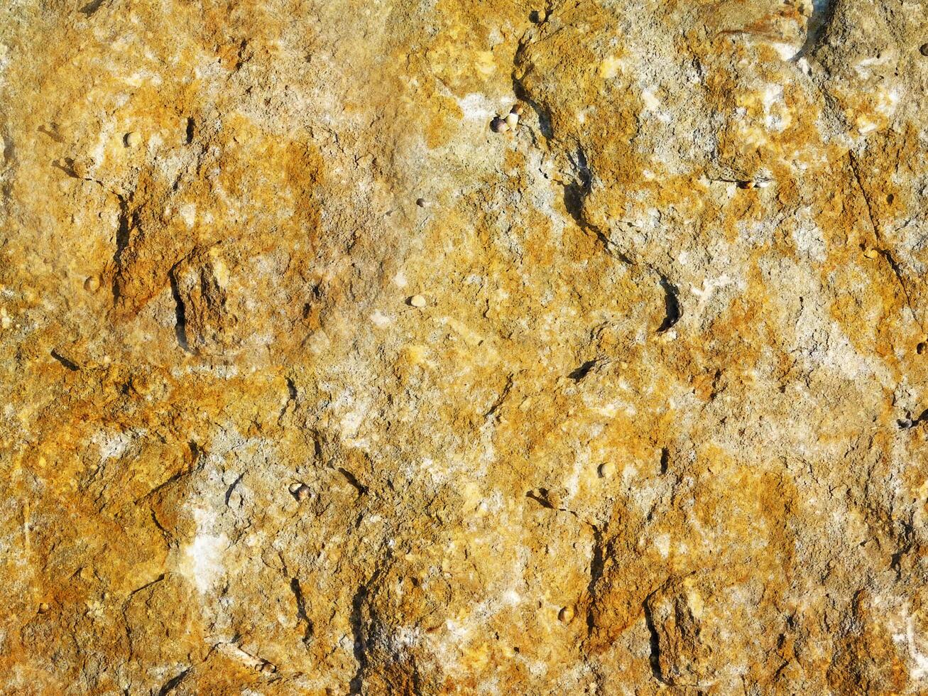 Stone texture of various colors photo