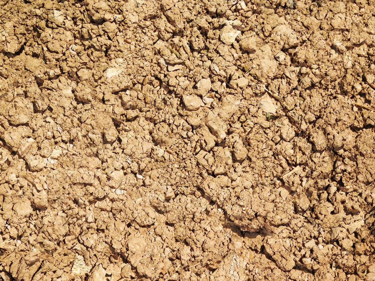 Brown earth texture photo