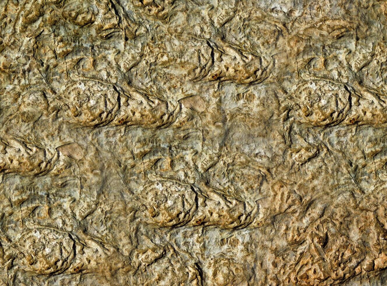 Stone texture of various colors photo