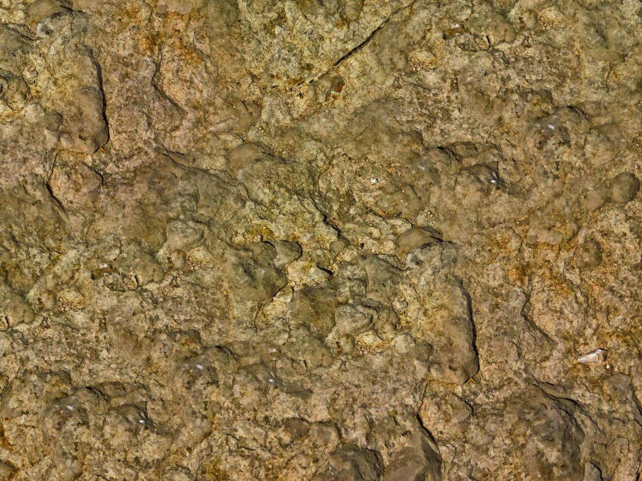 Stone texture of various colors photo