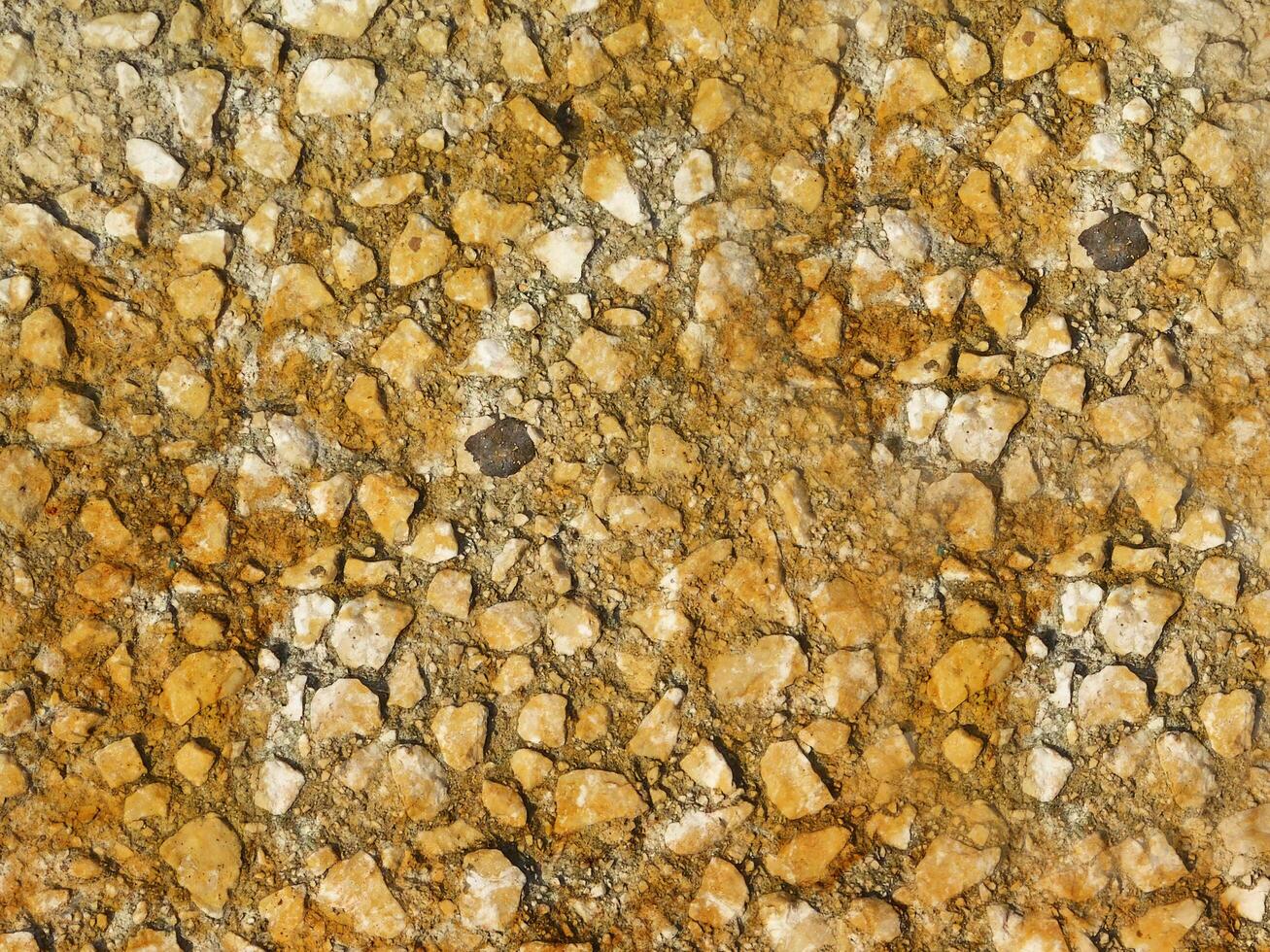 Stone texture of various colors photo