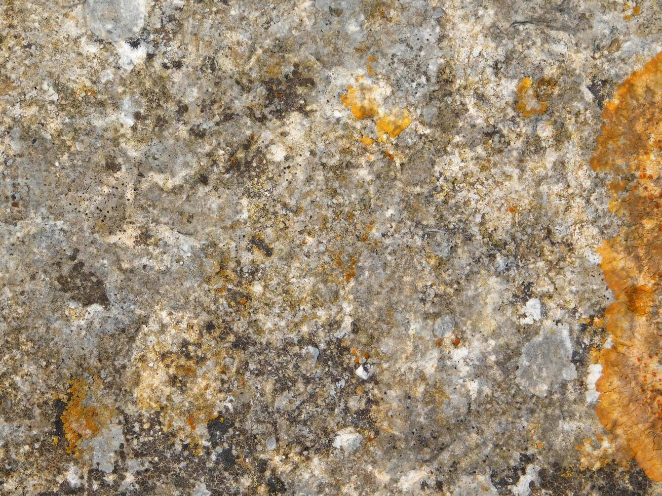 Stone texture of various colors photo