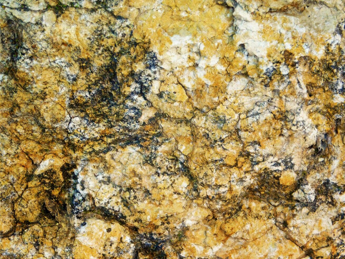 Stone texture of various colors photo