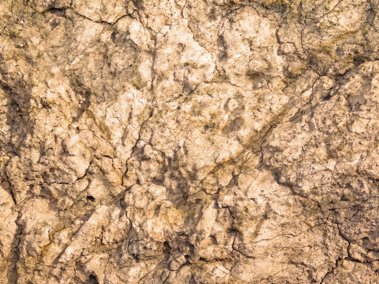 Stone texture of various colors photo
