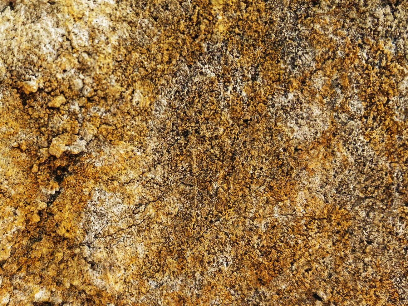Stone texture of various colors photo