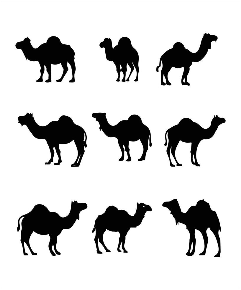 silhouettes of camel isolated over white background vector