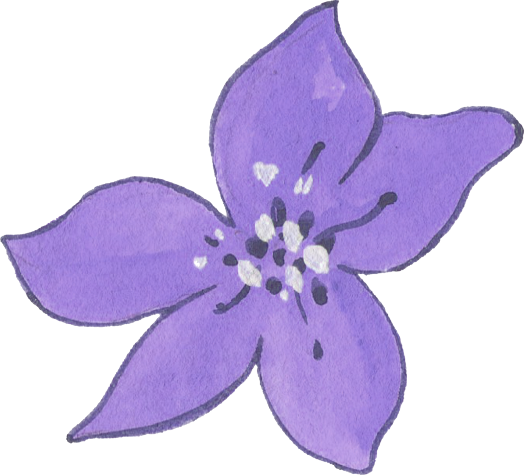 Abstract flower botanical blossom cute kawaii isolated elements png