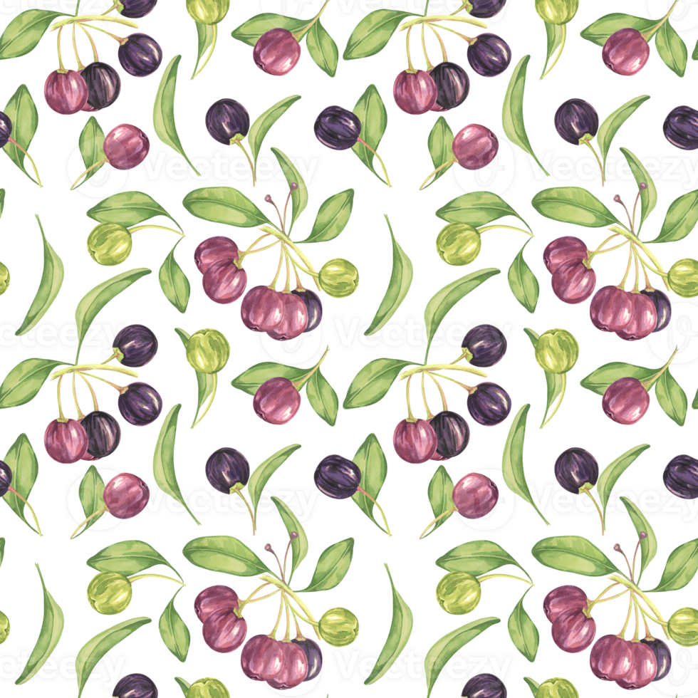 Maqui berry, purple pink fruit seamless pattern with leaves. Aristotelia chilensis textile watercolor ornament clipart. Vibrant Chilean wineberry print for clothing, paper, scrapbooking, wallpaper png