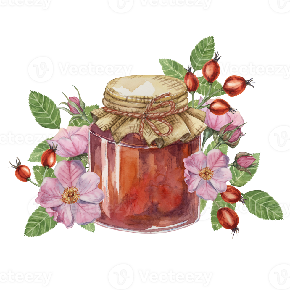 Rose hip jam in glass jar with canvas burlap fabric lid and twine rope bow. German fruit preserve jelly watercolor illustration for printing, food packaging, labels, cards, stickers, scrapbooking png