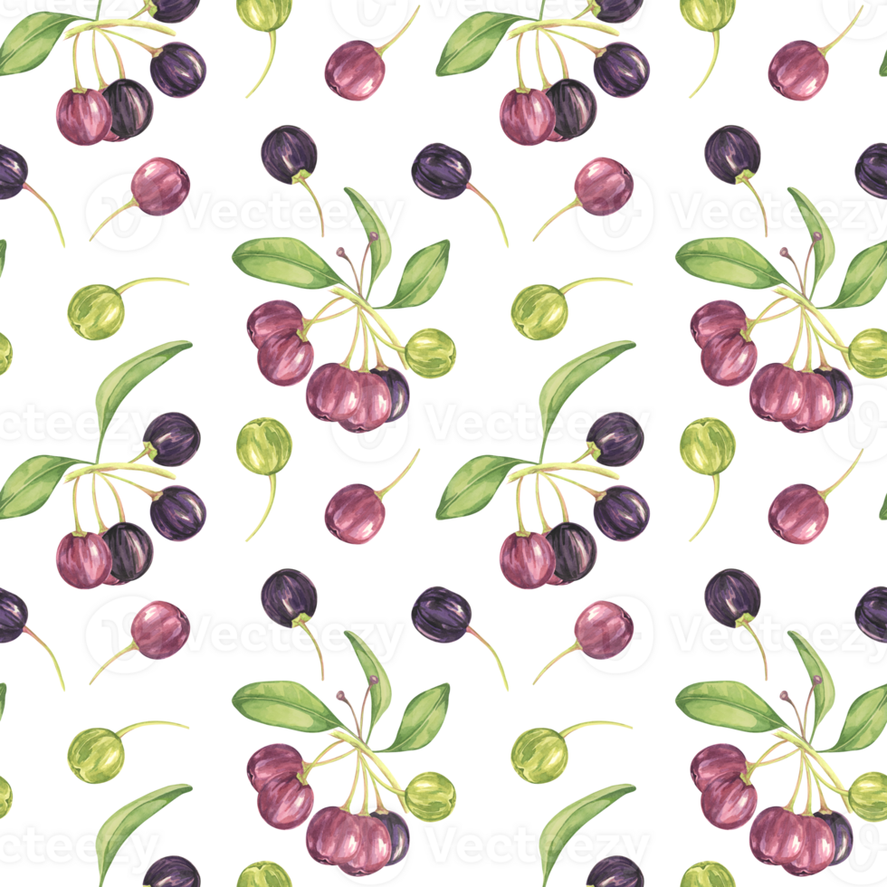 Maqui berry, purple pink fruit seamless pattern with leaves. Aristotelia chilensis textile watercolor ornament clipart. Vibrant Chilean wineberry print for clothing, paper, scrapbooking, wallpaper png